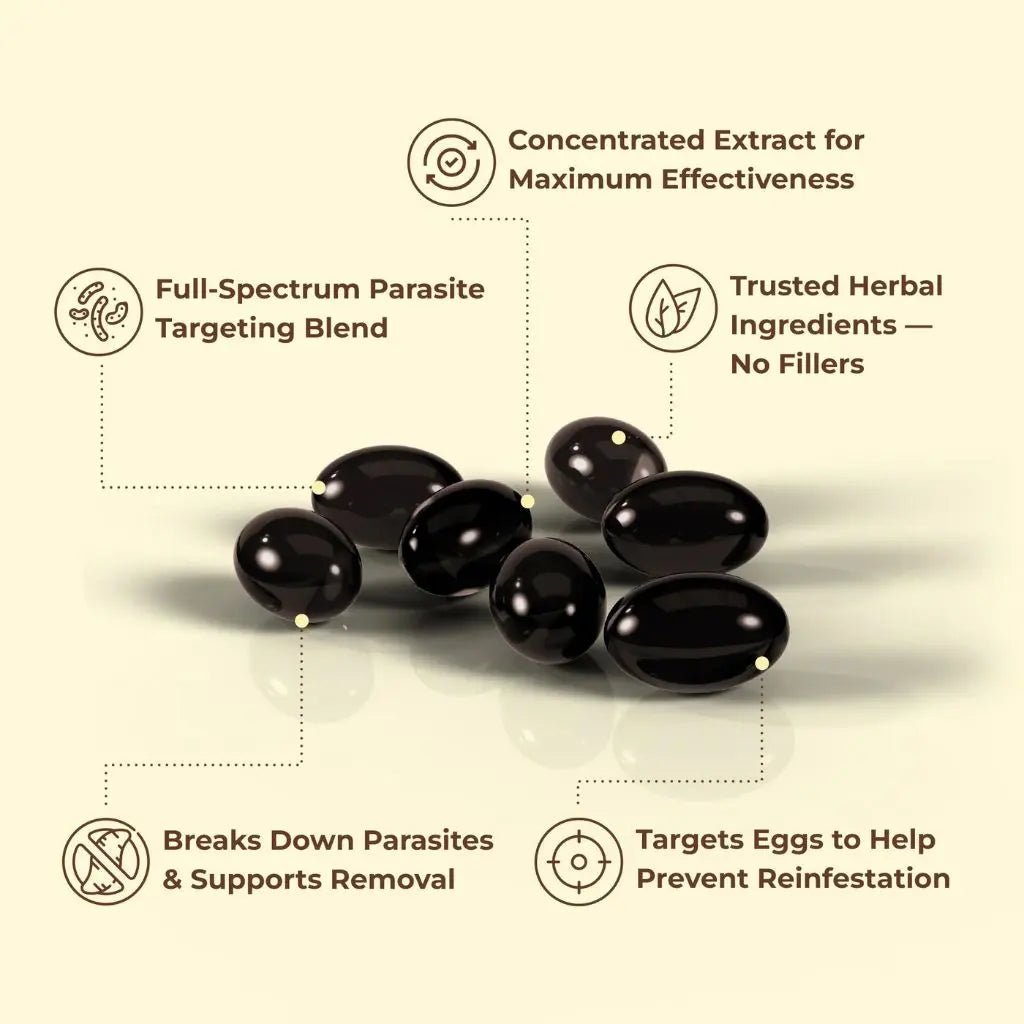 NORIVA™ Wormwood Black Walnut Cloves — Flush Out Hidden Parasites & Larva